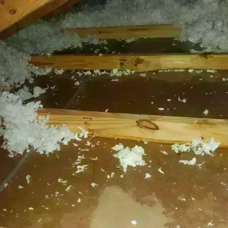 Attic Water Damage in East Gull Lake, MN